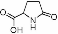 DL-Glutamic Acid Lactam