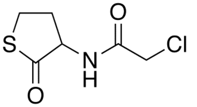 Erdosteine Chloride 