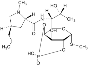 Clindamycin Phosphate EP Impurity G