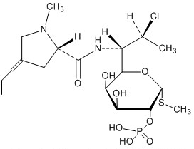 Clindamycin Phosphate EP Impu