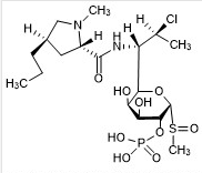 Clindamycin Phosphate Oxide I