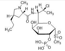 Clindamycin Phosphate Dioxide