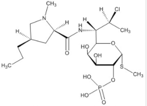 Clindamycin Phosphate α-Isomer
