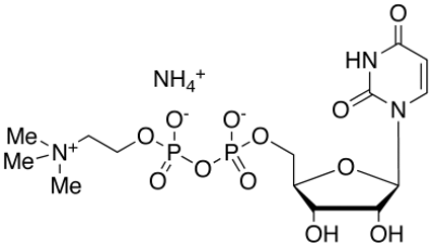 Uridine Diphosphate Choline A