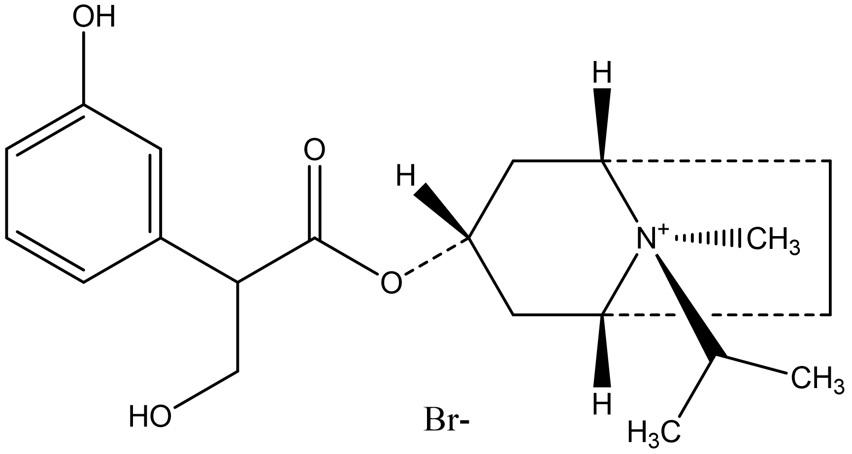 3-Hydroxy Ipratropium Bromide