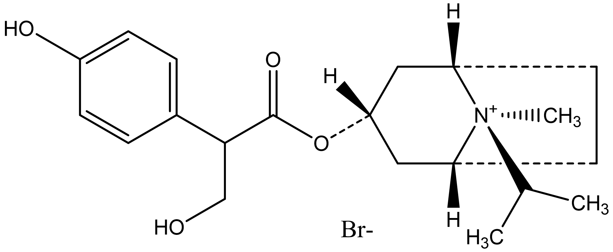 4-Hydroxy Ipratropium Bromide
