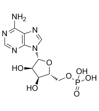 Adenosine 5'-Monophosphate