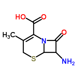 7-Amino-3-methyl-8-oxo-5-thia-1-aza-bicyclo[4.2.0]oct-2-ene-2-carboxylic acid